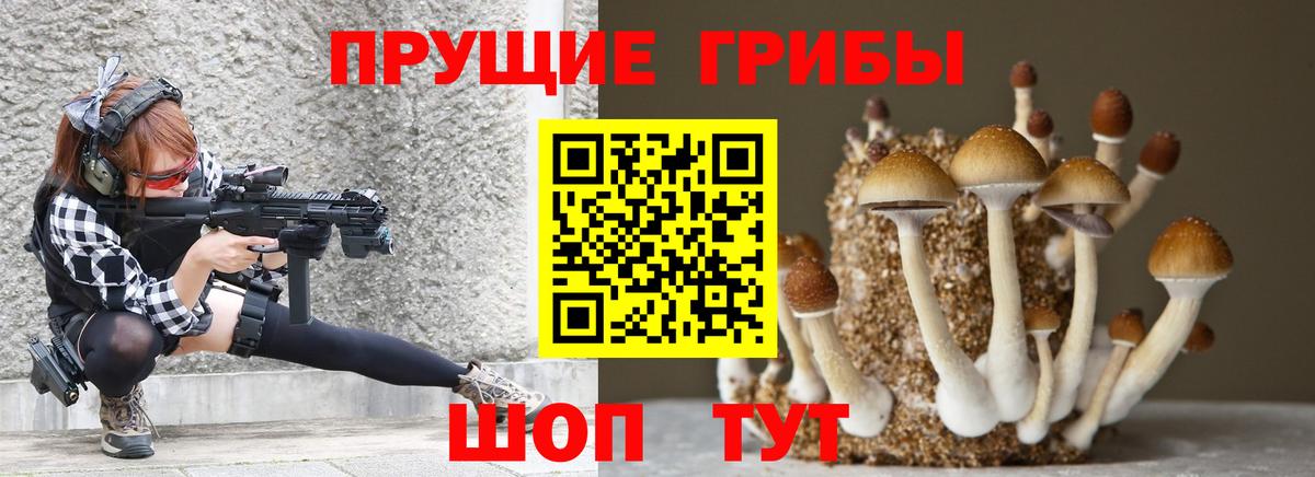 Галлюциногенные грибы MAGIC MUSHROOMS  Вход с VPN  Клинцы 